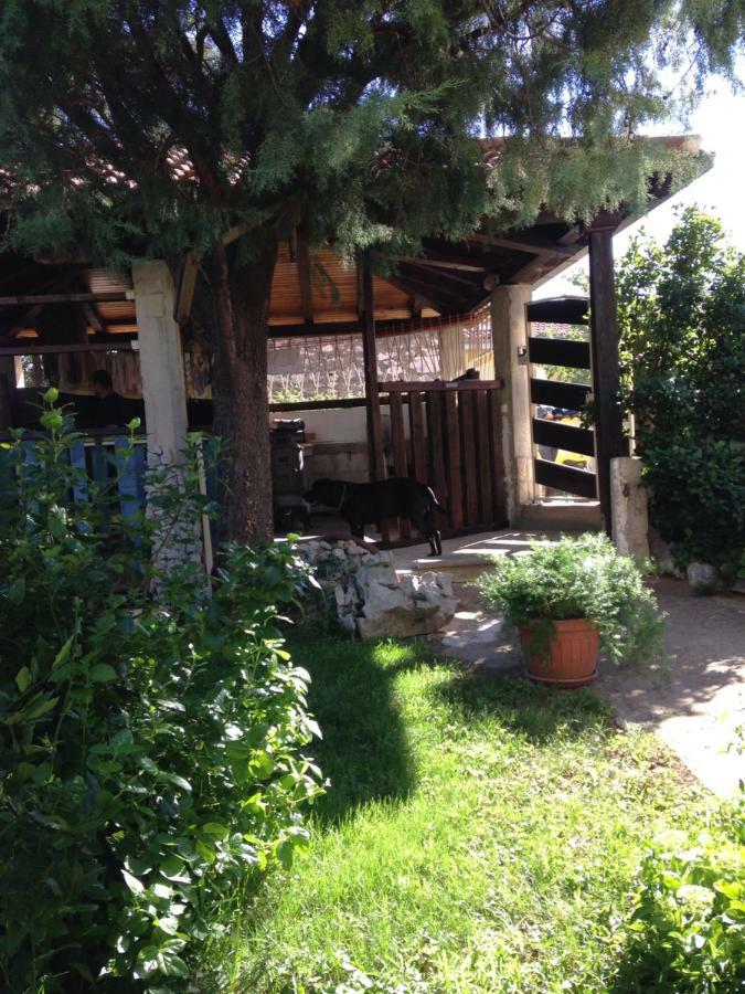 SanMari Hotel Novi Vinodolski Bagian luar foto